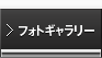 フォトギャラリー