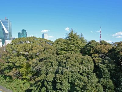 麻布鳥居坂マンションの写真 屋上からの眺望