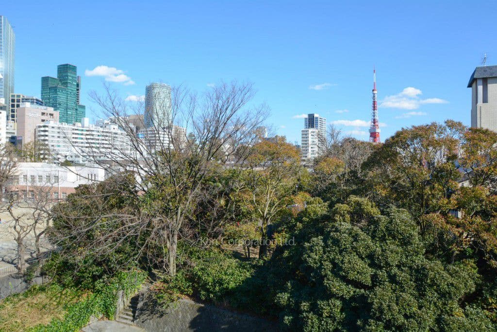 麻布鳥居坂マンションの写真 屋上からの眺望