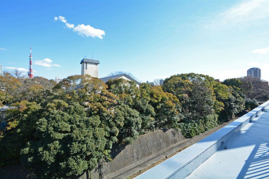 麻布鳥居坂マンションの写真 屋上からの眺望