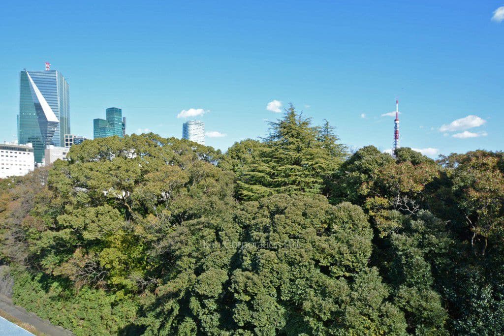 麻布鳥居坂マンションの写真 屋上からの眺望