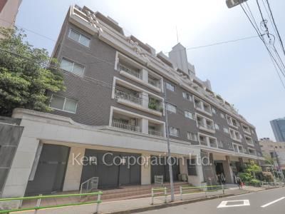 シャトー東洋南青山の写真 外観ひき