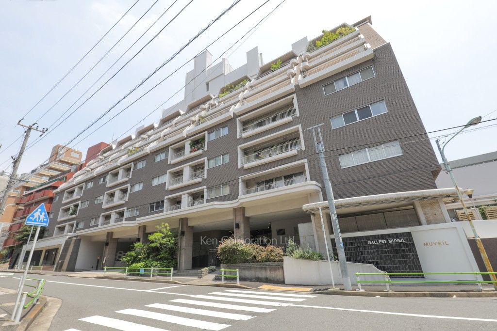 シャトー東洋南青山の写真 外観ひき