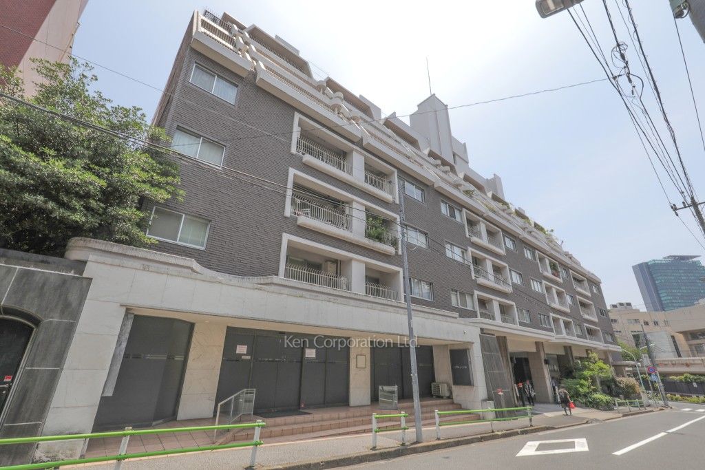シャトー東洋南青山の写真 外観ひき