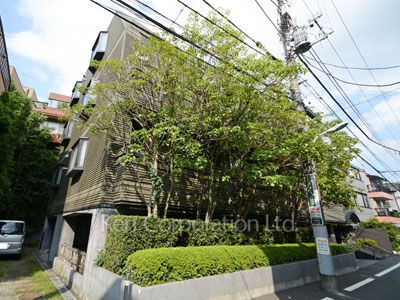 コンフォール南青山の写真 外観ひき