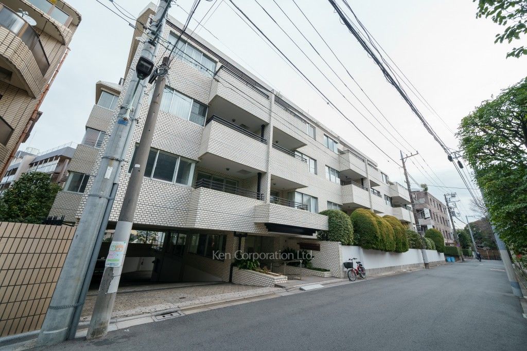  外観ひき