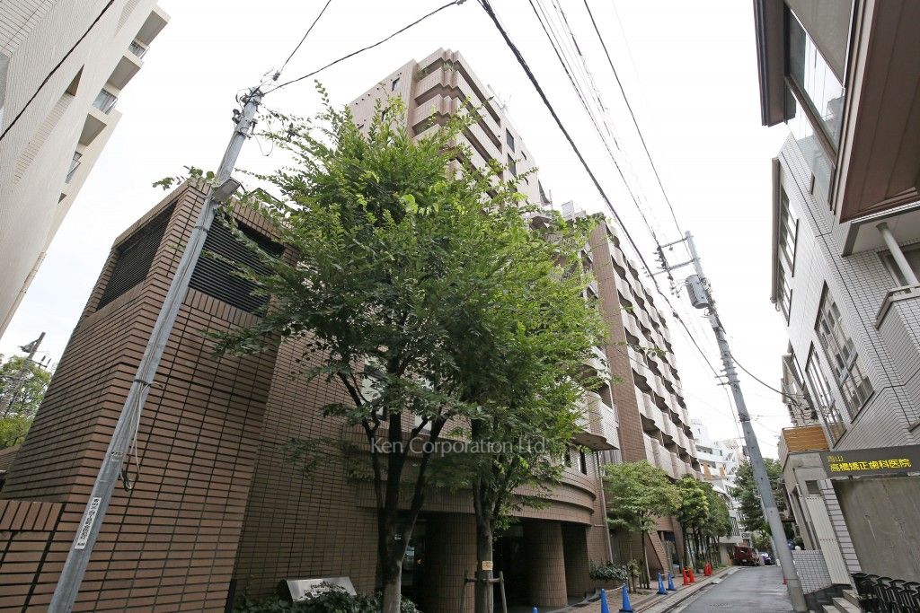 ベルテ南青山-Ⅰの写真 外観ひき