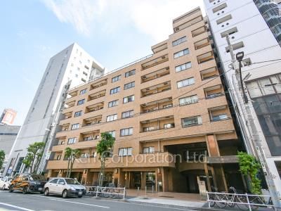 ドミール南青山の写真 外観ひき