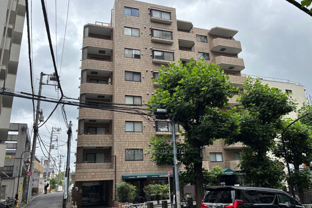 サンフローラハイツ渋谷の写真 外観ひき