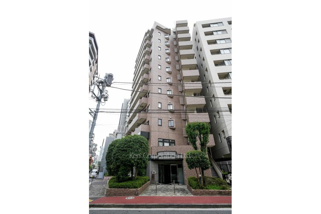  外観ひき