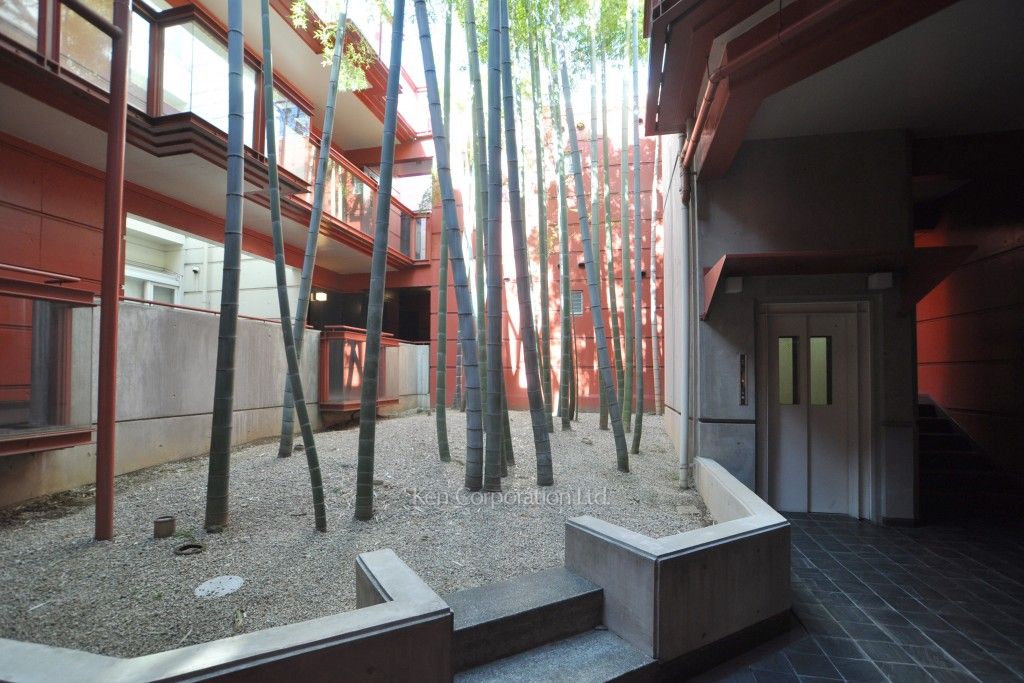  中庭