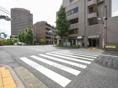 御殿山テラスの写真 前面道路