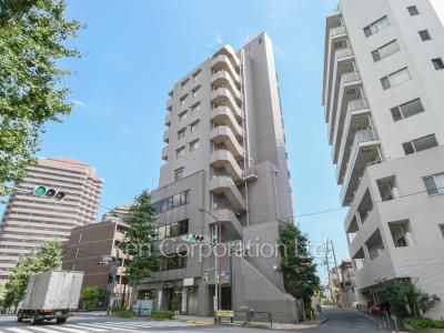 御殿山テラスの写真 外観ひき