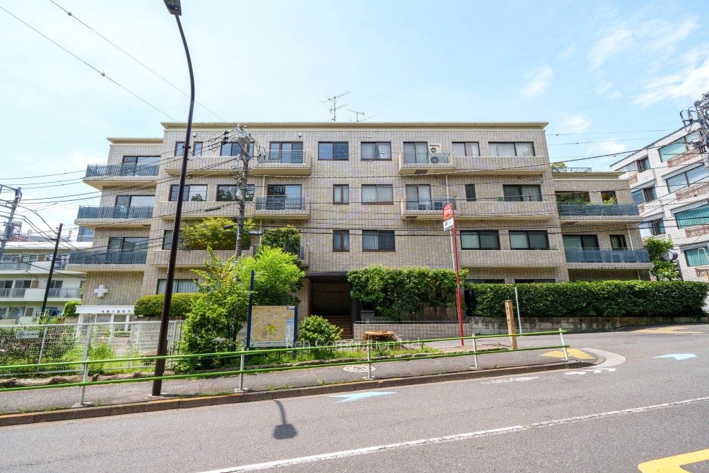 外観ひき