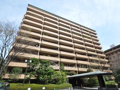 外観ひき