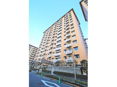  外観ひき