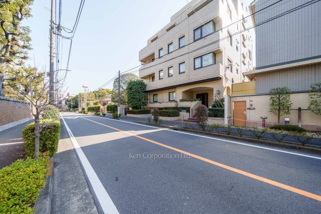 常磐松ホームズの写真  前面道路