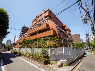 白金グランドハイツの写真 外観ひき