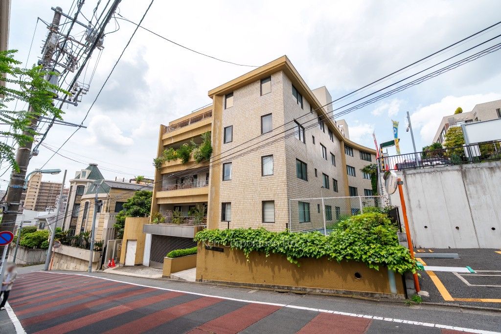  外観ひき