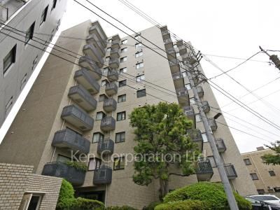 南青山パークマンションの写真 外観ひき
