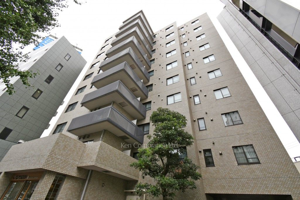 南青山パークマンションの写真 外観ひき