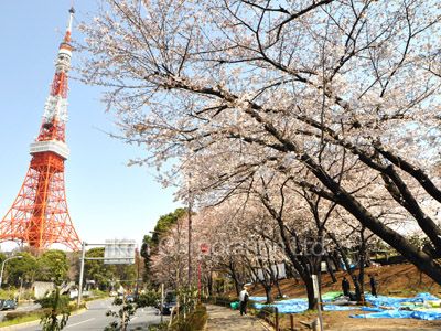 セラフ・テン・アザブの写真 芝公園