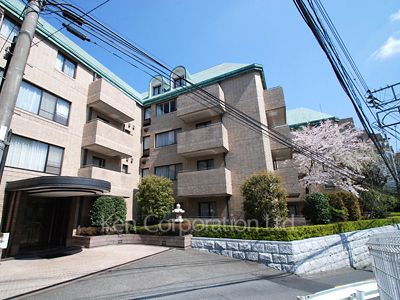 赤坂氷川町パークマンションの写真外観ひき