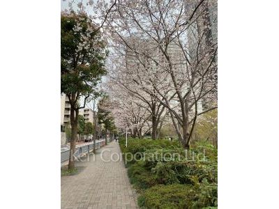 赤坂氷川町パークマンションの写真