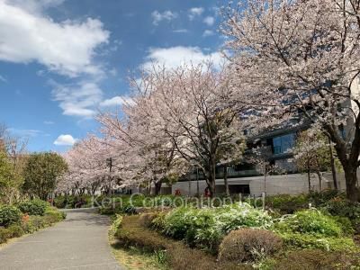 赤坂氷川町パークマンションの写真