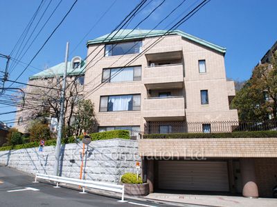 赤坂氷川町パークマンションの写真外観ひき