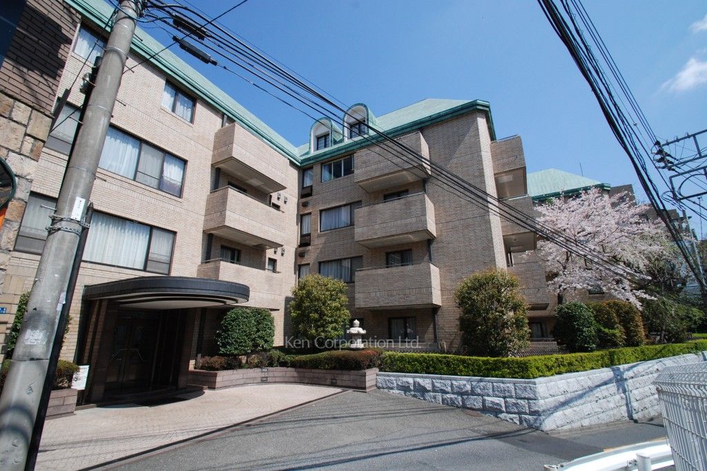赤坂氷川町パークマンションの写真外観ひき