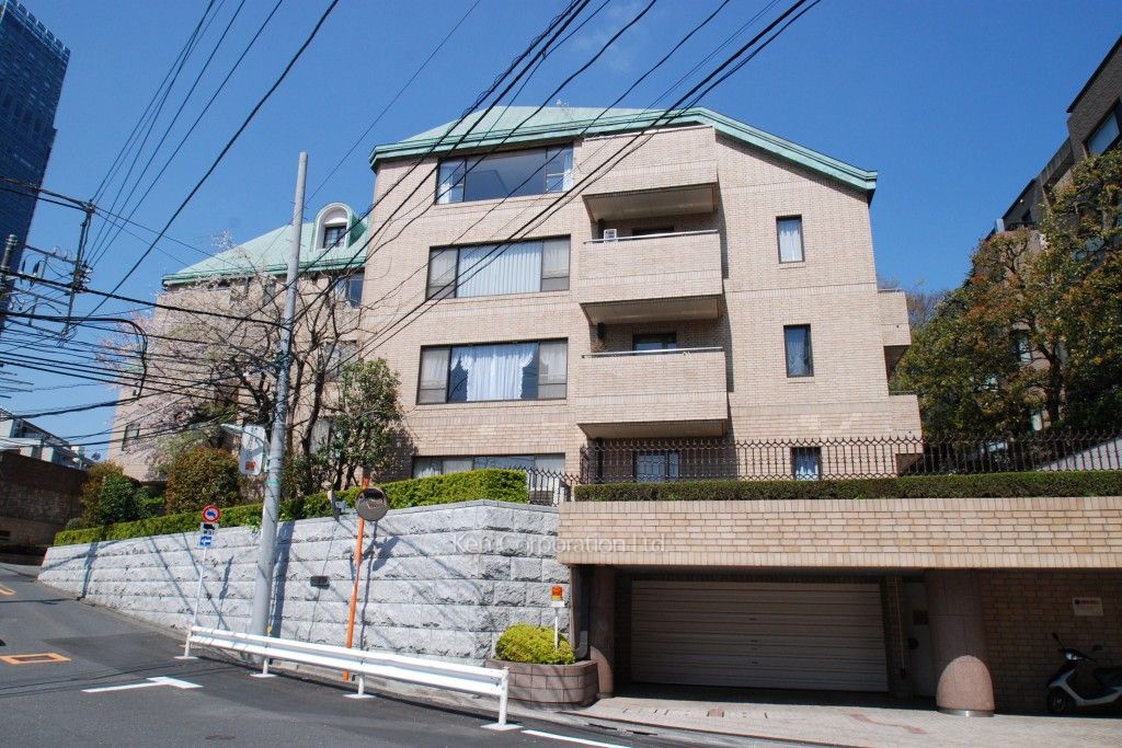 赤坂氷川町パークマンションの写真外観ひき