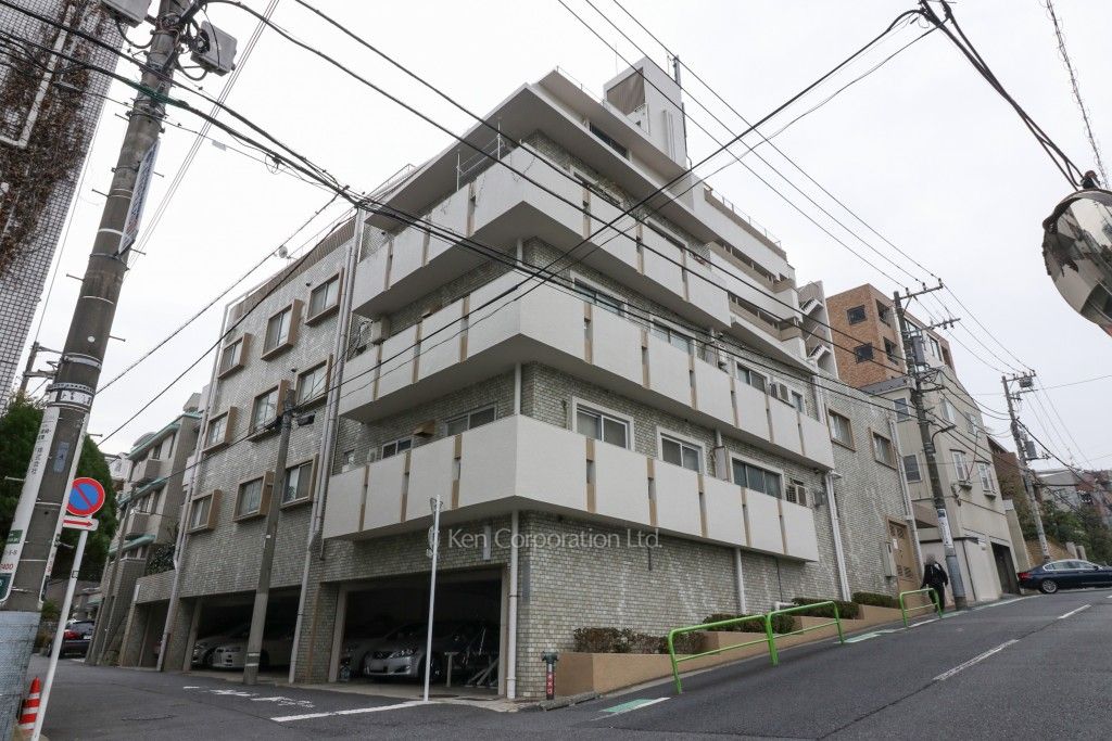 ハイネス南麻布の写真 外観ひき