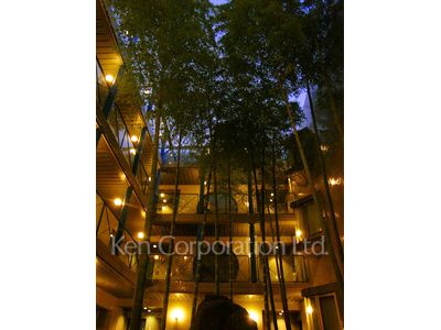 目黒ロイアルハイツの写真 中庭・植栽