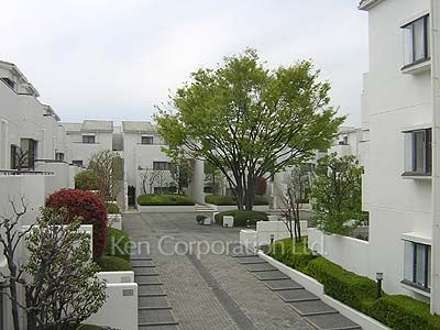  中庭・植栽