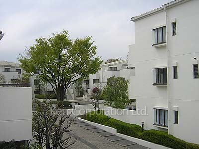  中庭・植栽