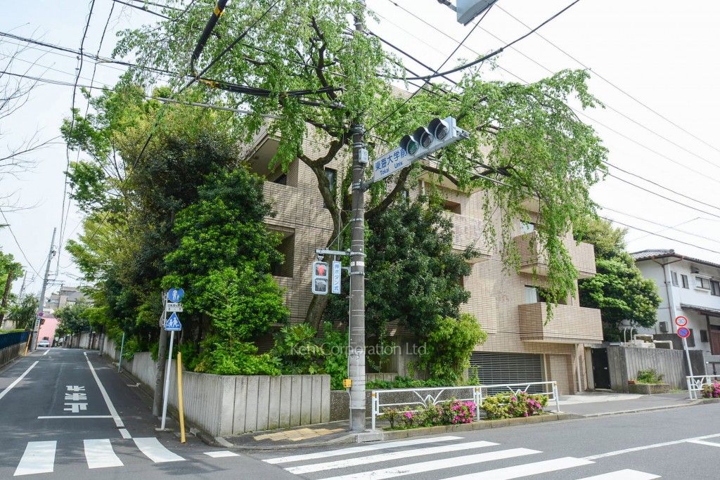 アパートメント稲木の写真 外観ひき