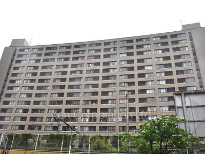  外観ひき