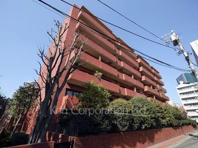  外観ひき