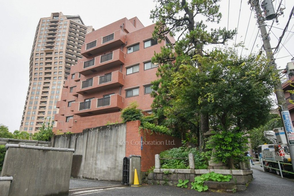  外観ひき