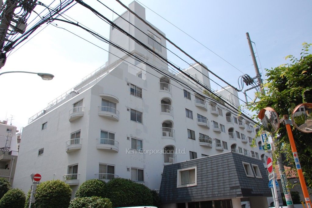 南青山ハウスの写真 外観ひき