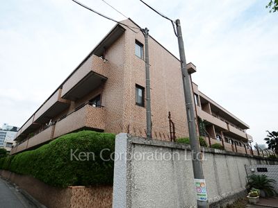  外観ひき