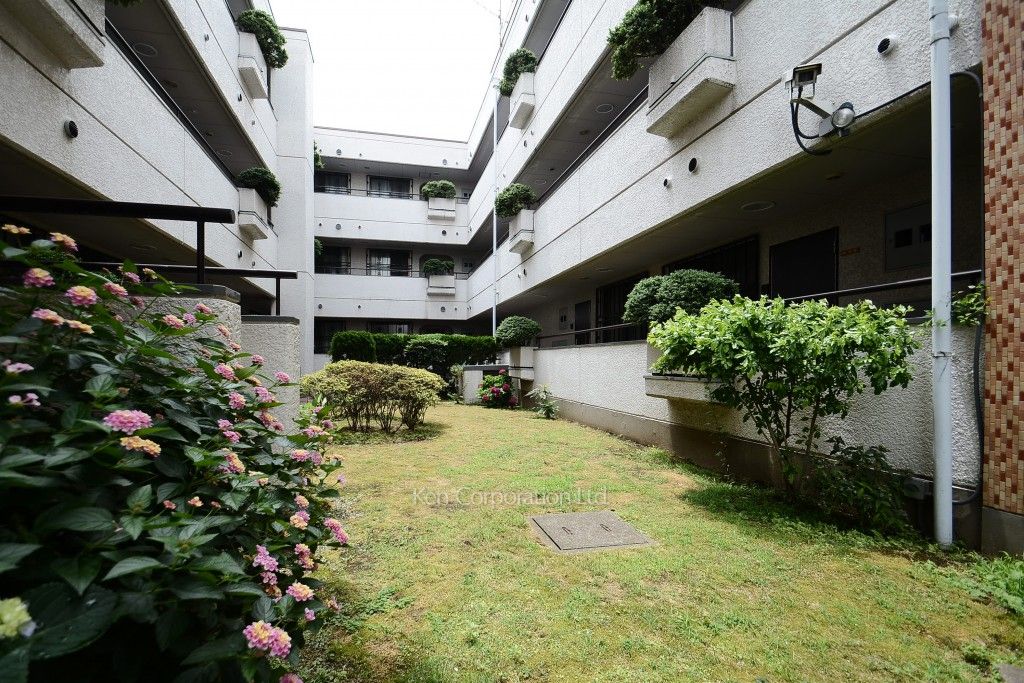  中庭