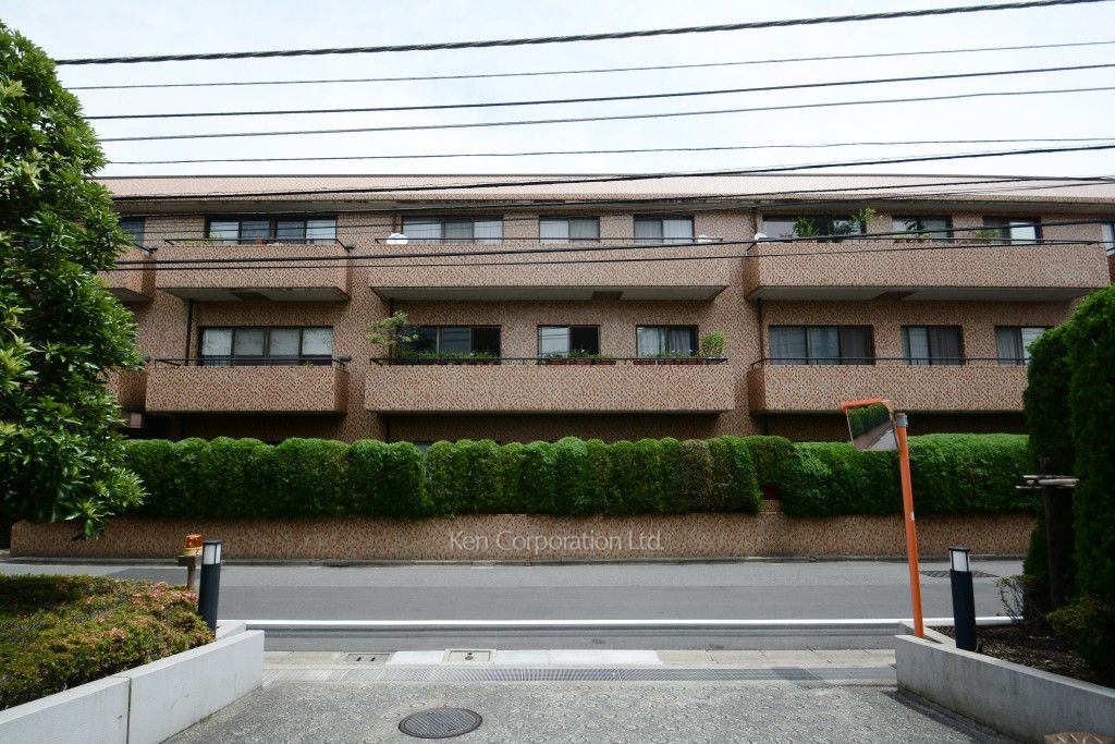  外観ひき