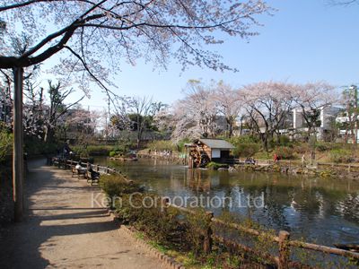 フジパークシャルムの写真 区立鍋島松濤公園