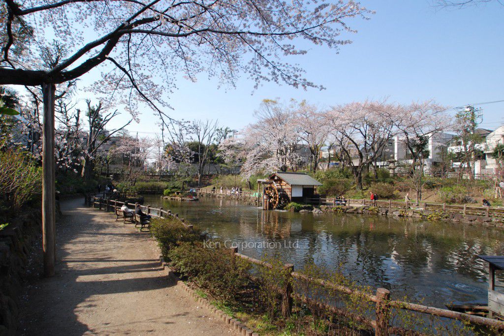 フジパークシャルムの写真 区立鍋島松濤公園