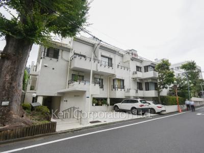 西麻布ロイヤルマンションの写真 外観ひき