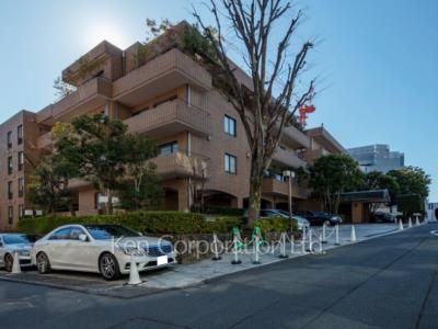 ベルテ表参道の写真 外観ひき