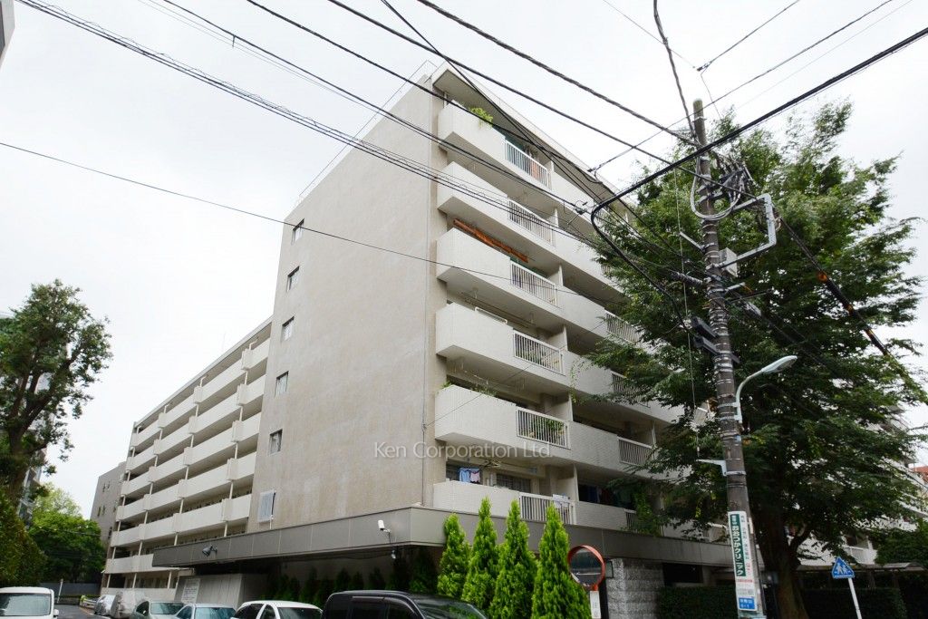  外観ひき
