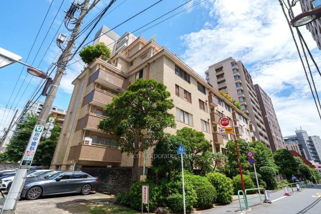  外観ひき